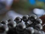Black Pearls